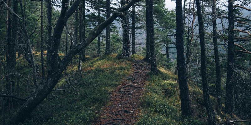 中国瓷器礼物选购指南：从景德镇千年雅韵到现代创意陶瓷定制