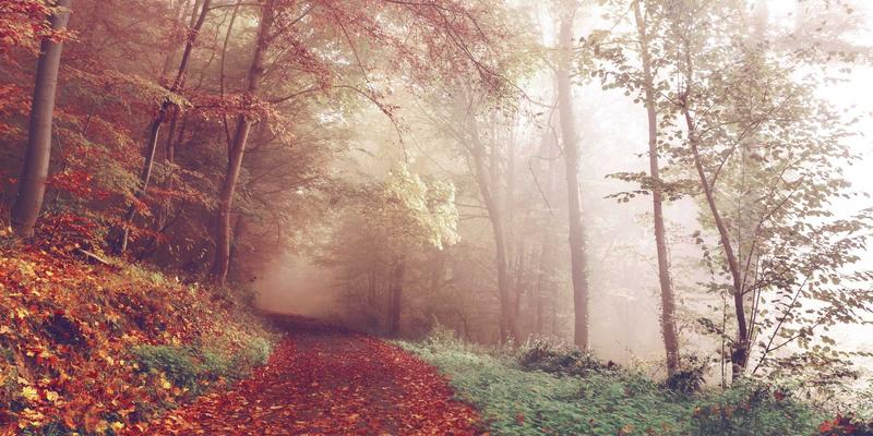 中国礼物10选：特色商品、礼品定制与文化礼品的完美融合