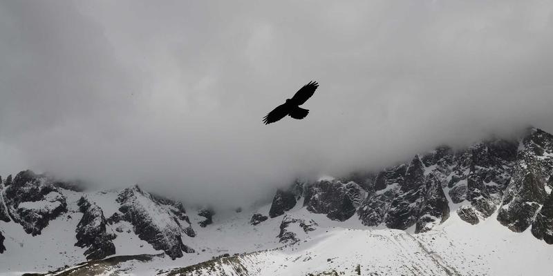 中国礼物13：以中国特色礼品、企业礼品与定制方案，传递东方智慧与商业温度