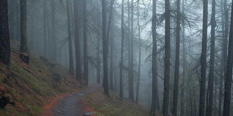 中国礼物15：企业礼品与特色商品的完美融合之道