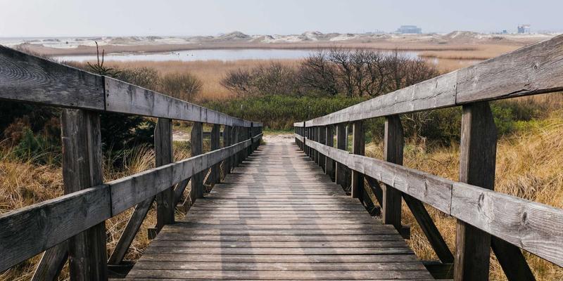 中国礼物20：定制纪念品与特色商品的东方美学之旅