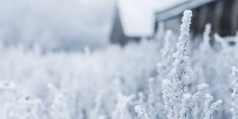 中国礼物74：定制纪念品与中国特色文化礼品的艺术融合