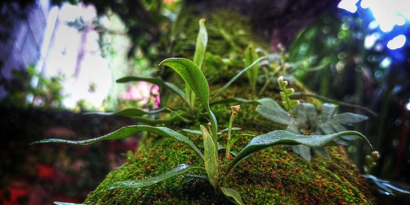 中国礼物91：定制纪念品与特色商品，打造独一无二的情感纽带