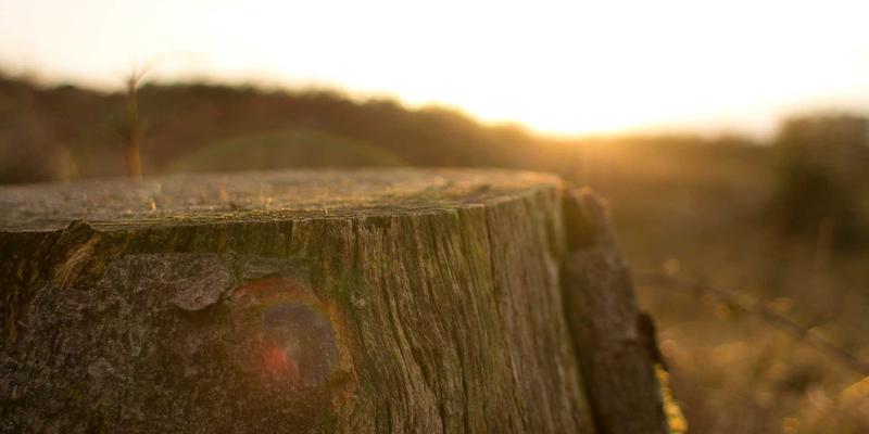 中国礼物92：特色商品与企业礼品的新时代选择