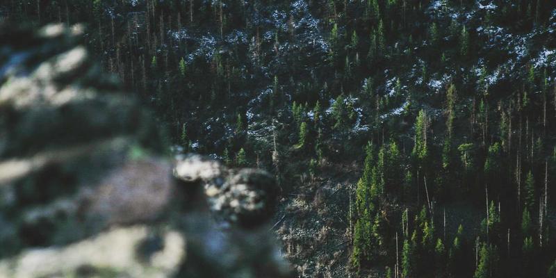 中国礼物97：特色商品、礼品定制与文化礼品的深度探索