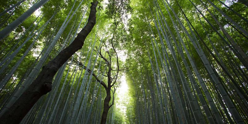 企业礼品定制新风尚：从故宫文创到敦煌艺术的国潮IP联名热潮分析