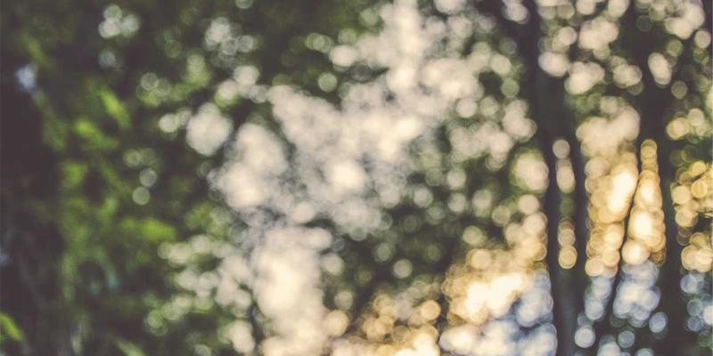 四大名著主题文创礼品：企业定制纪念品的文化新选择