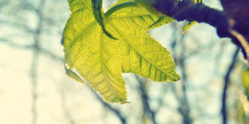 当国粹遇见时尚：京剧脸谱艺术如何重塑礼品定制与中国礼物新美学